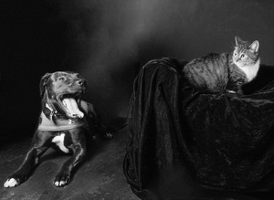 Fundraising Page: Mario and Panda Pearson